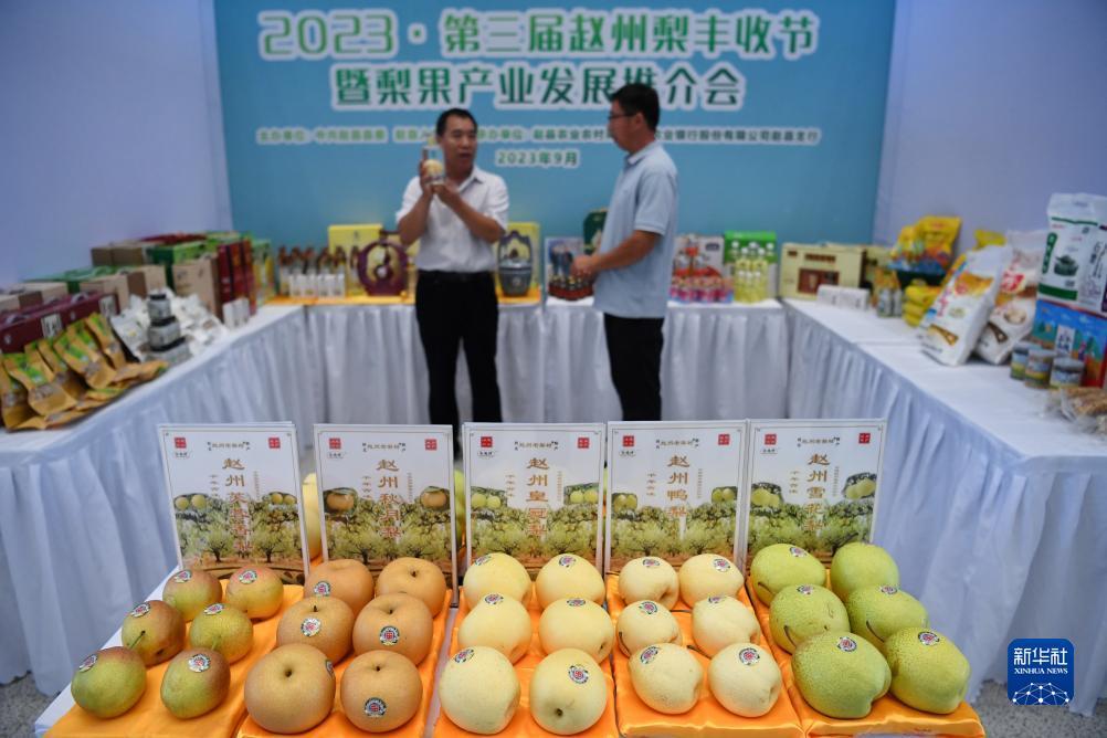 新莆京官方网站782